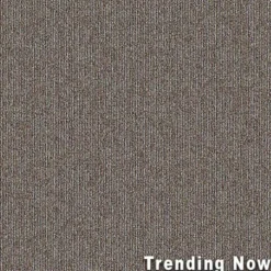 Breaking News Commercial Carpet Tiles 5.7 mm x 24x24 Inches Carton of 24