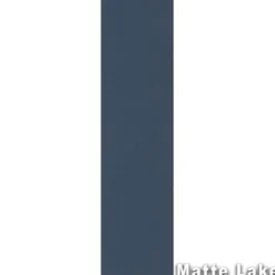 Colorburst Commercial Carpet Planks 1/4 Inch x 12x48 Inches Carton of 14