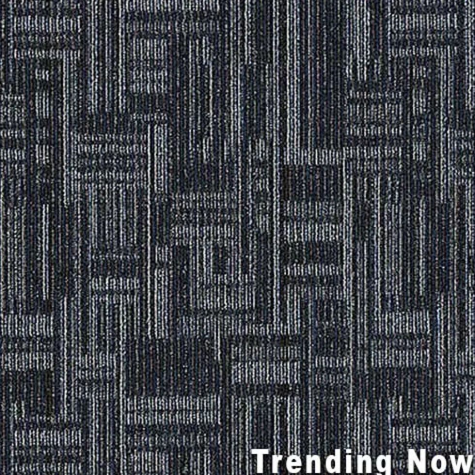 Daily Wire Commercial Carpet Tiles 3.2 mm x 24x24 Inches Carton of 24