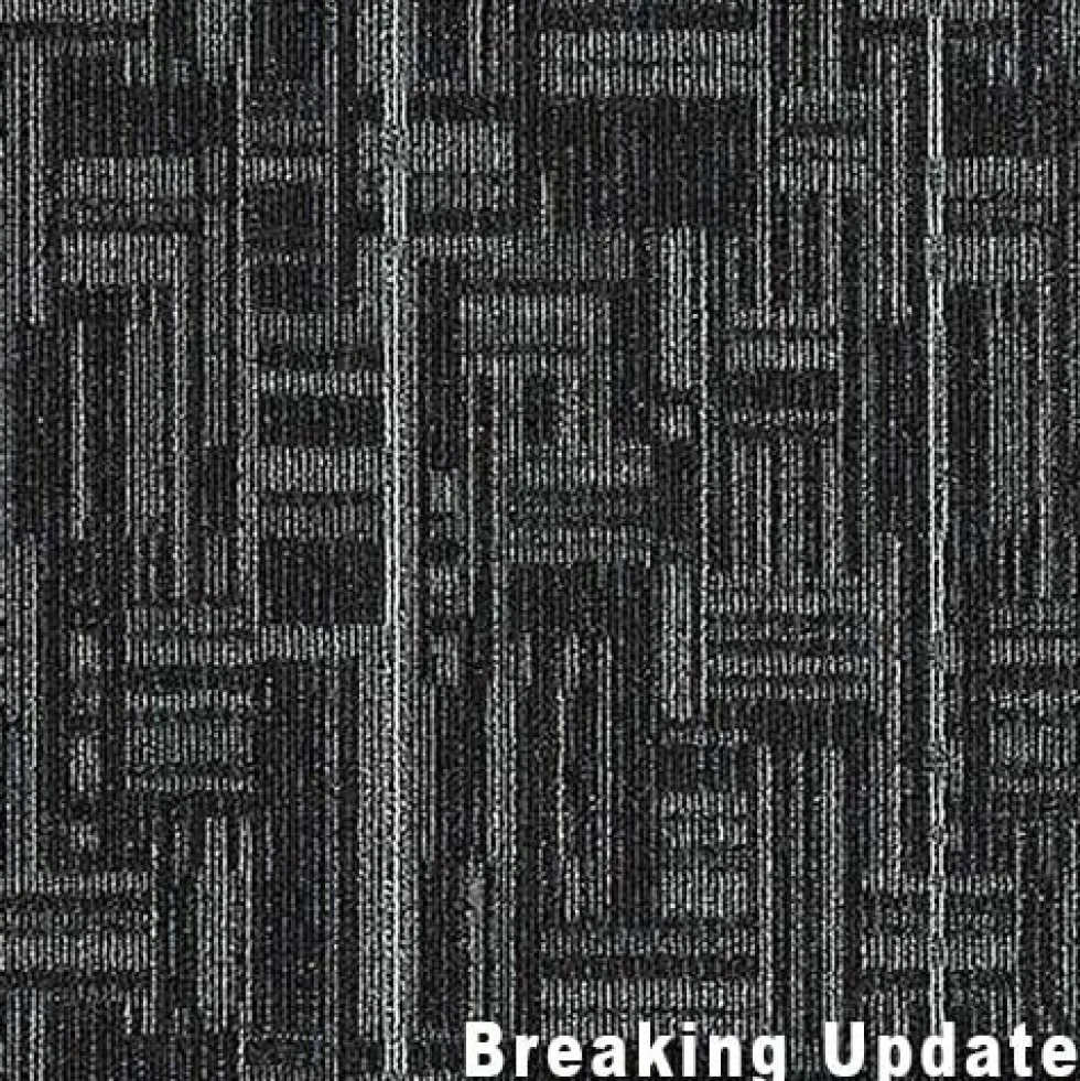 Daily Wire Commercial Carpet Tiles 3.2 mm x 24x24 Inches Carton of 24