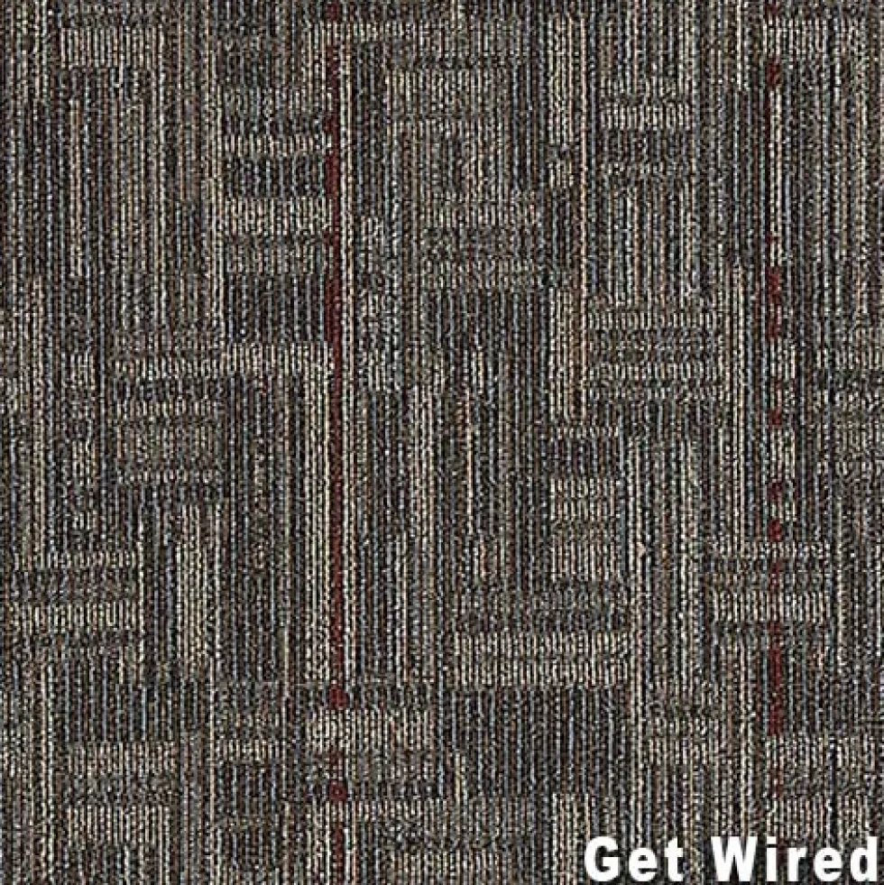 Daily Wire Commercial Carpet Tiles 3.2 mm x 24x24 Inches Carton of 24