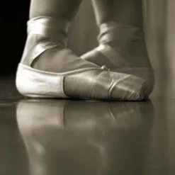 Dance and Stage Pro Full Roll 2.5 mm x 6x60 Ft.