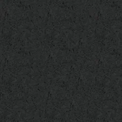 dBTile Gym Floor Tile Black 2.5 Inch x 2x2 Ft. with Quad Blok