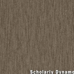 Dynamo Commercial Carpet Tiles 6.3 mm x 24x24 Inches 20 Per Case
