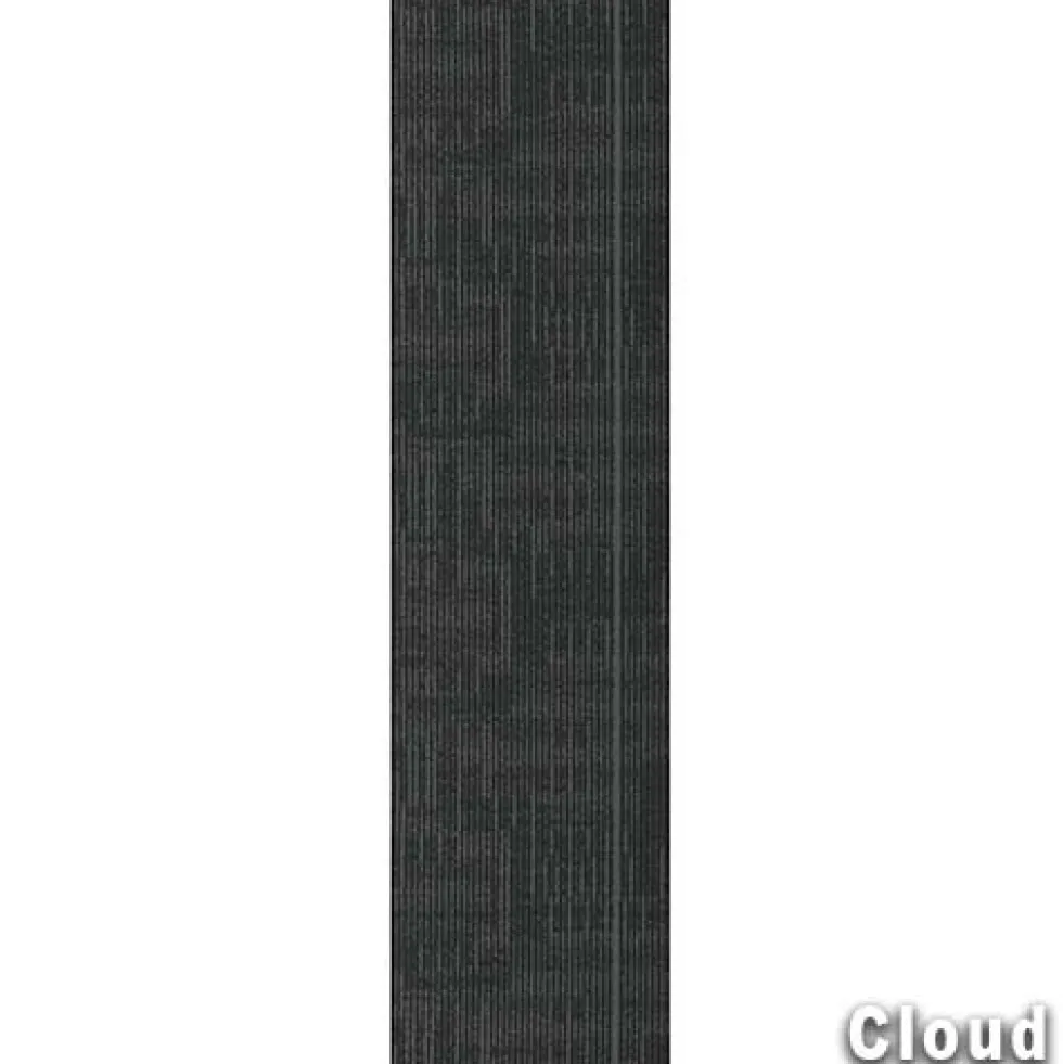 Echo Commercial Carpet Planks 1/4 Inch x 12x48 Inches Carton of 14