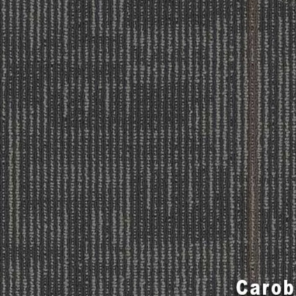 Echo Commercial Carpet Tiles 1/4 Inch x 24x24 Inches Carton of 18