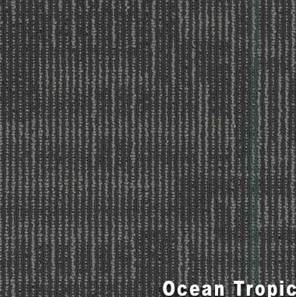 Echo Commercial Carpet Tiles 1/4 Inch x 24x24 Inches Carton of 18