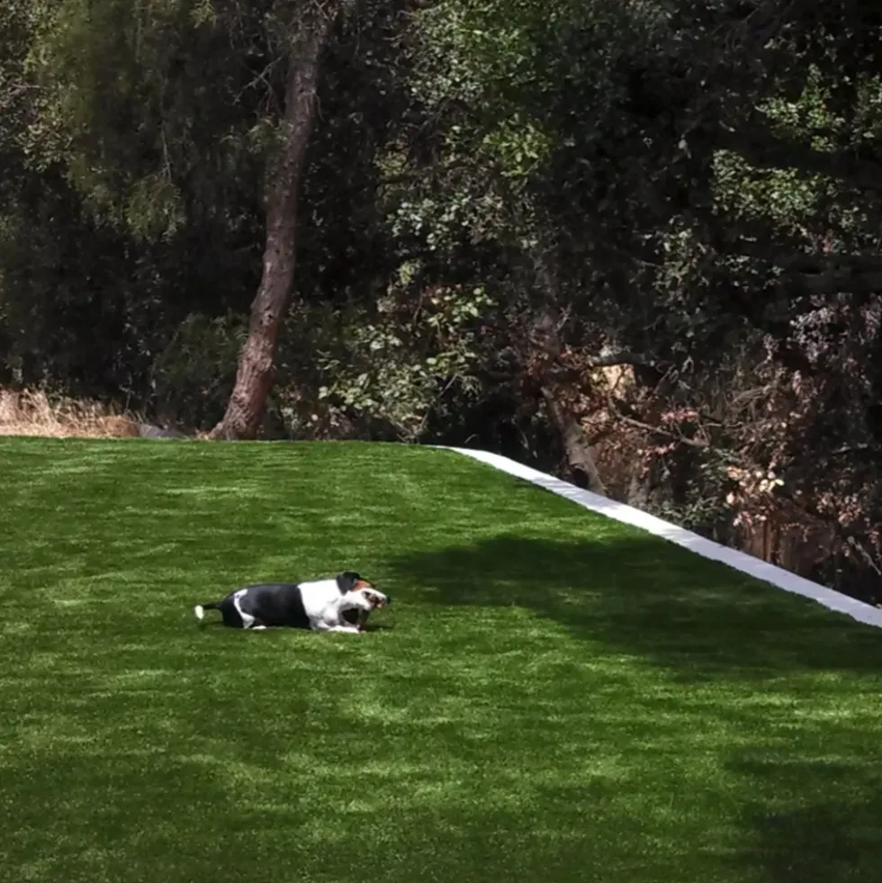 Endless Summer Artificial Grass Turf 1-5/8 Inch x 15 Ft. Wide Per SF