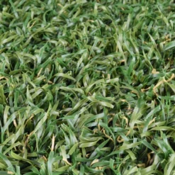 Endless Summer Artificial Grass Turf 1-5/8 Inch x 15 Ft. Wide Per SF
