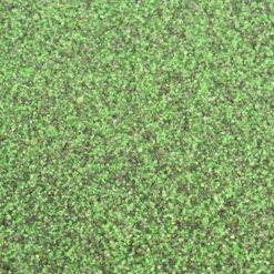 Envirofill 50 lbs Green/Black Blend Putting Green 30/50 Mesh
