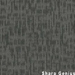 Genius Commercial Carpet Tiles 6.3 mm x 24x24 Inches 20 Per Case
