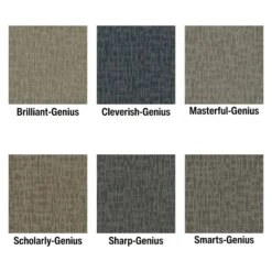 Genius Commercial Carpet Tiles 6.3 mm x 24x24 Inches 20 Per Case