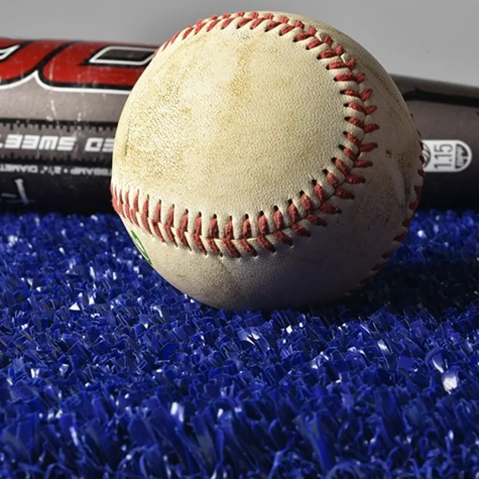 Greatmats Gym Turf Pro 3/4 Inch x 15 Ft. Wide 5mm Foam Per LF