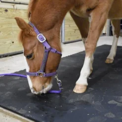 Horse Stall Interlocking Center Mat Cobblestone 3/4 Inch x 4x6 Ft.
