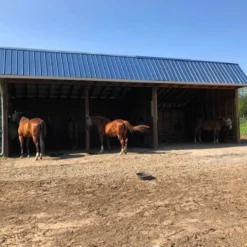 Horse Stall Interlocking Center Mat Cobblestone 3/4 Inch x 4x6 Ft.