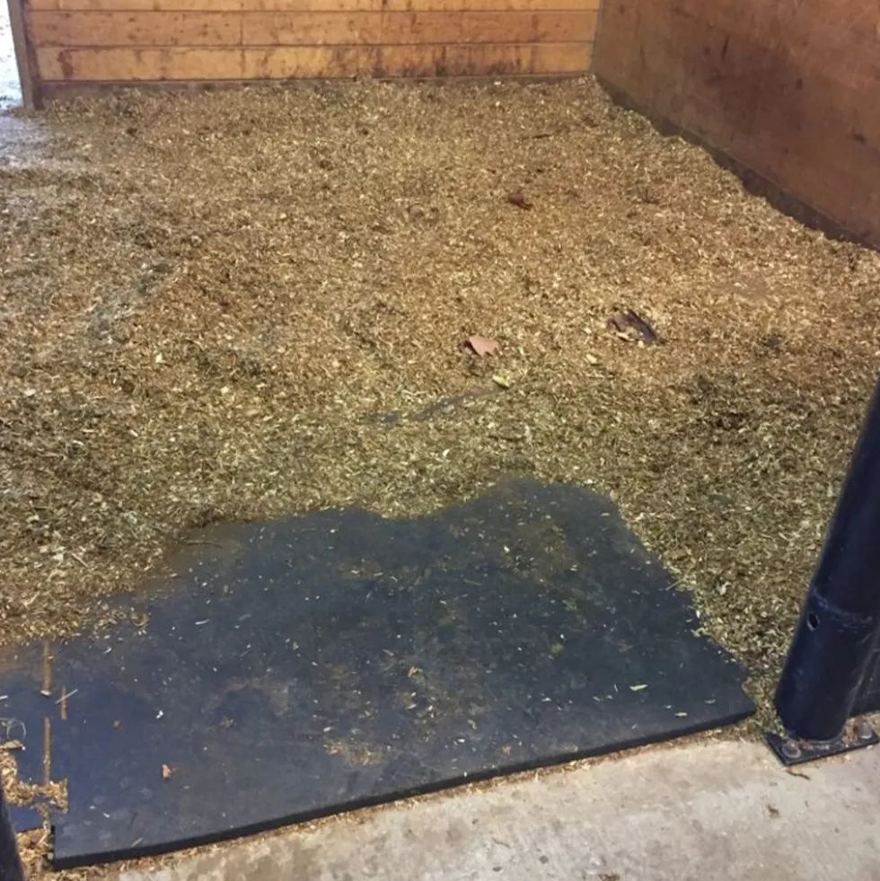 Horse Stall Mat Classic Interlocking 3/4 Inch x 10x10 Ft. Kit