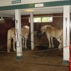 Horse Stall Mats Kit Cobblestone 3/4 Inch x 12x18 Ft.