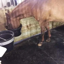 Horse Stall Mats Kit Cobblestone 3/4 Inch x 10x12 Ft.