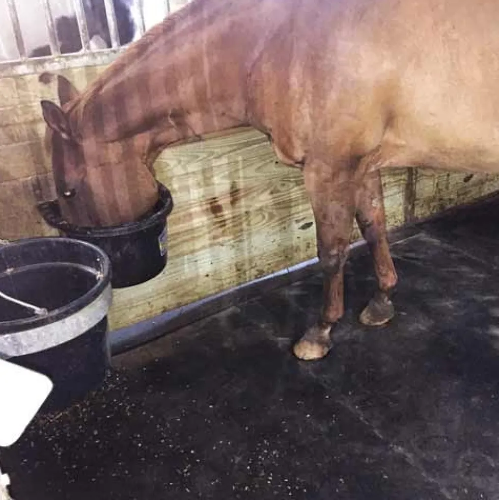 Horse Stall Mats Kit Cobblestone 3/4 Inch x 14x16 Ft.