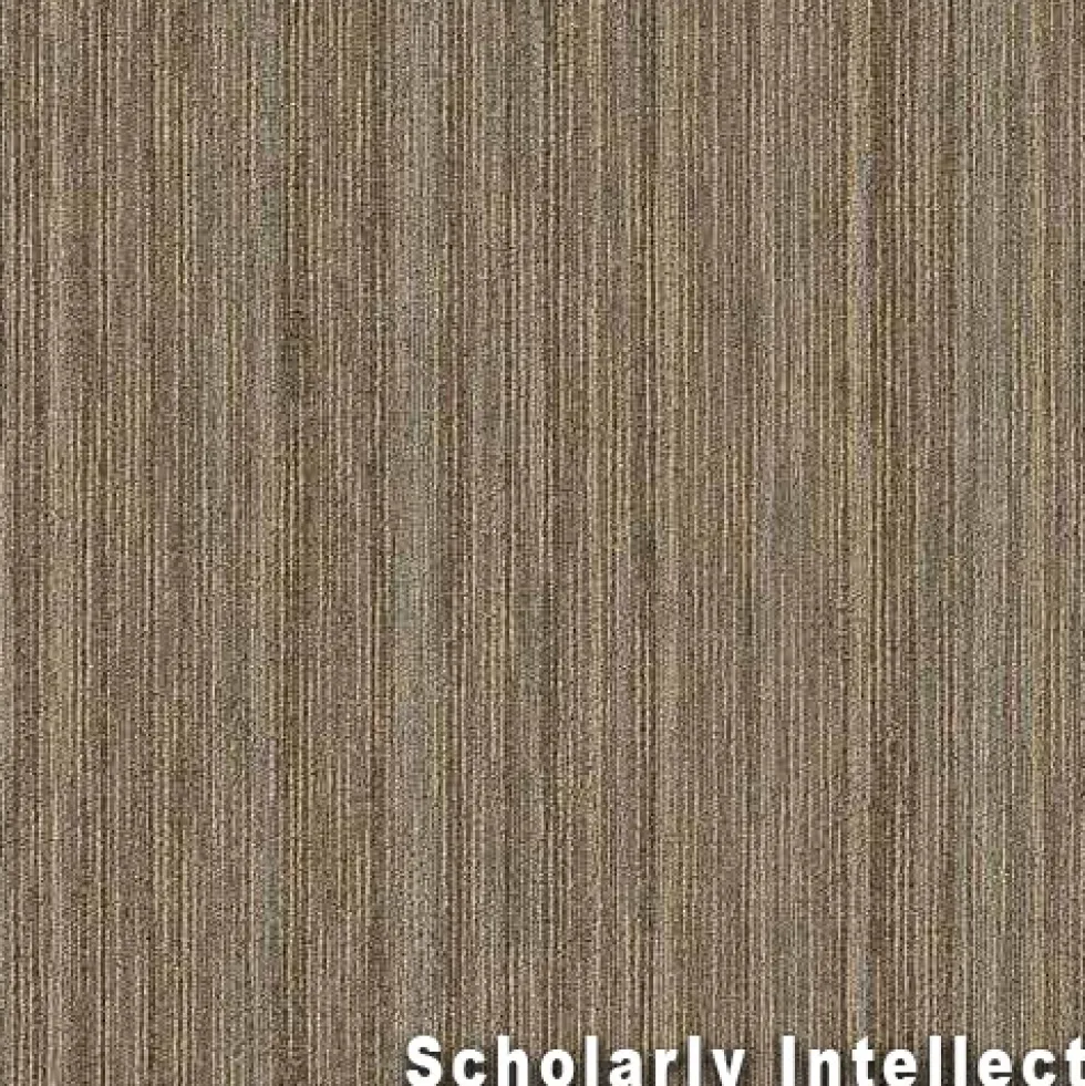 Intellect Commercial Carpet Tiles 6.3 mm x 24x24 Inches 20 Per Case