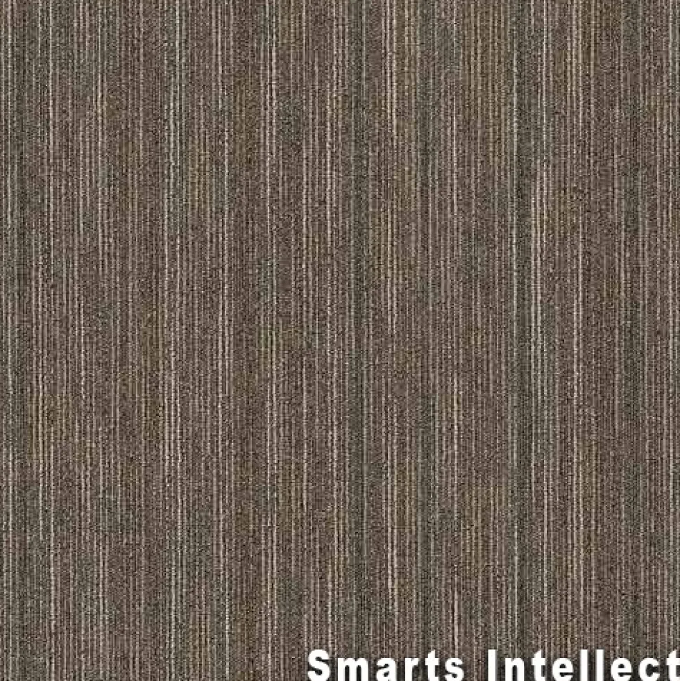 Intellect Commercial Carpet Tiles 6.3 mm x 24x24 Inches 20 Per Case