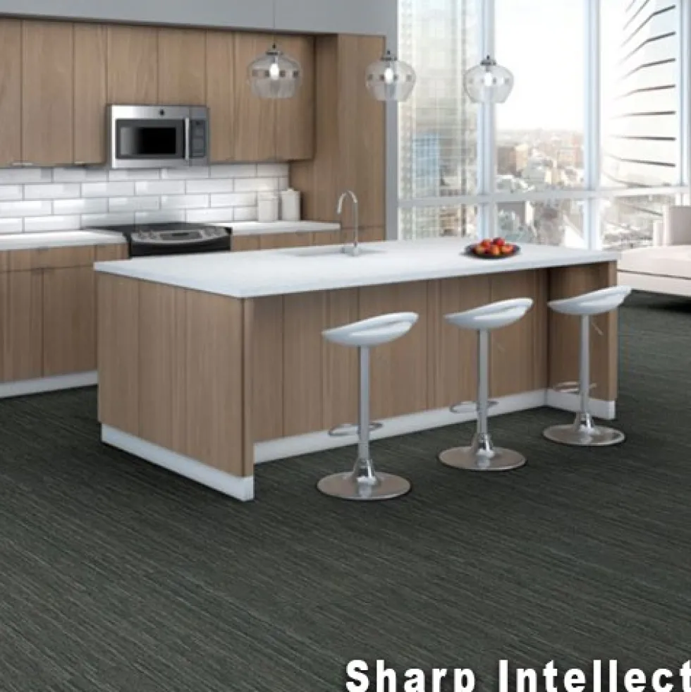 Intellect Commercial Carpet Tiles 6.3 mm x 24x24 Inches 20 Per Case