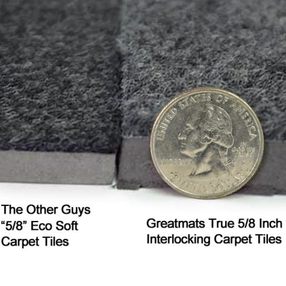 Interlocking Carpet Tiles Royal 10x20 Ft Kit