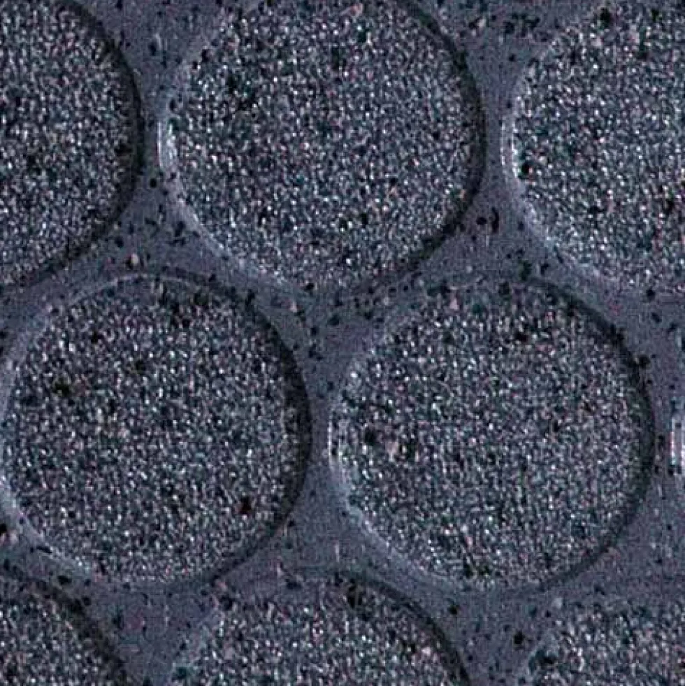 LonCoin II Flecks Commercial Vinyl Rolls 6x60 Ft.