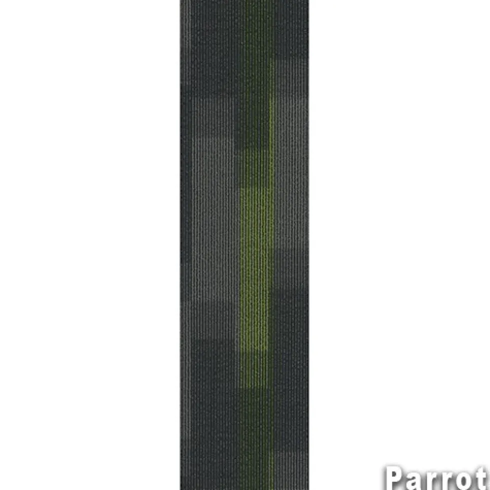 Magnify Commercial Carpet Planks 1/4 Inch x 12x48 Inches Carton of 14