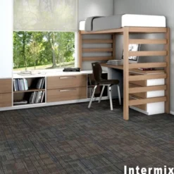 Out of Bounds Commercial Carpet Tile .25 Inch x 24x24 Inches 12 per Carton