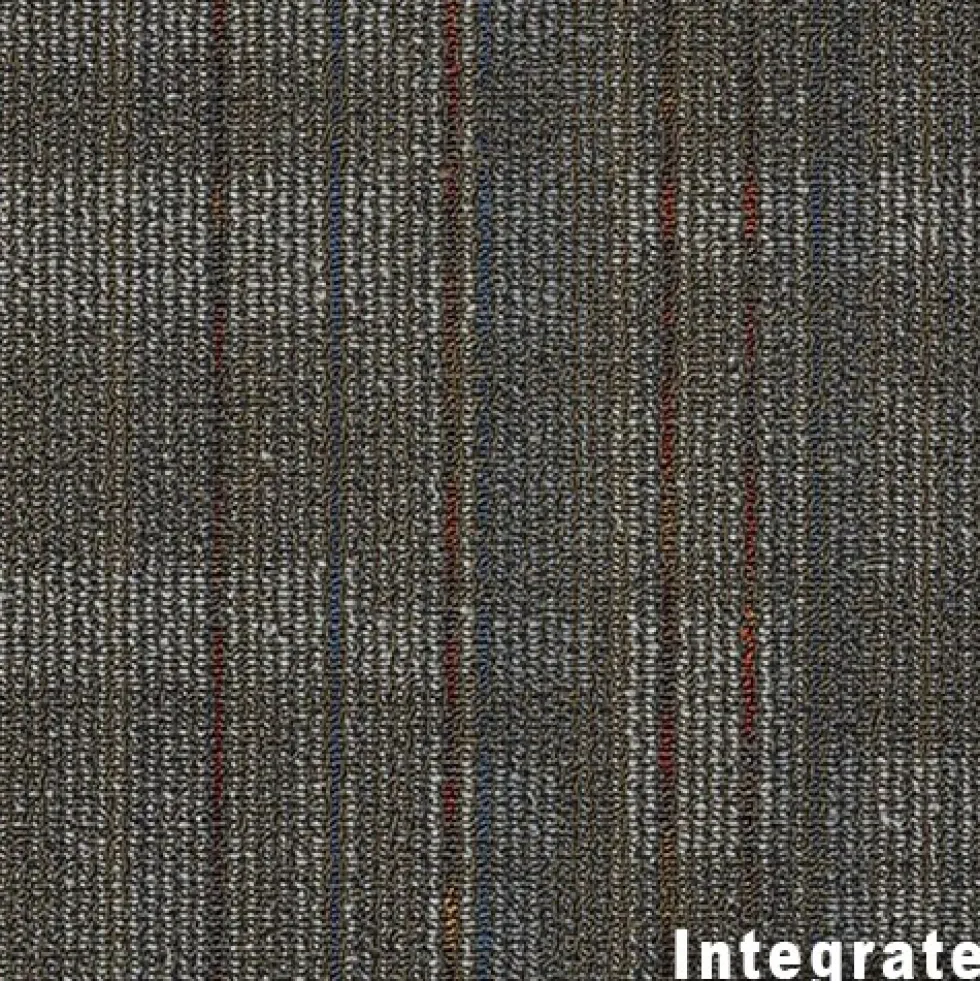 Out of Bounds Commercial Carpet Tile .25 Inch x 24x24 Inches 12 per Carton