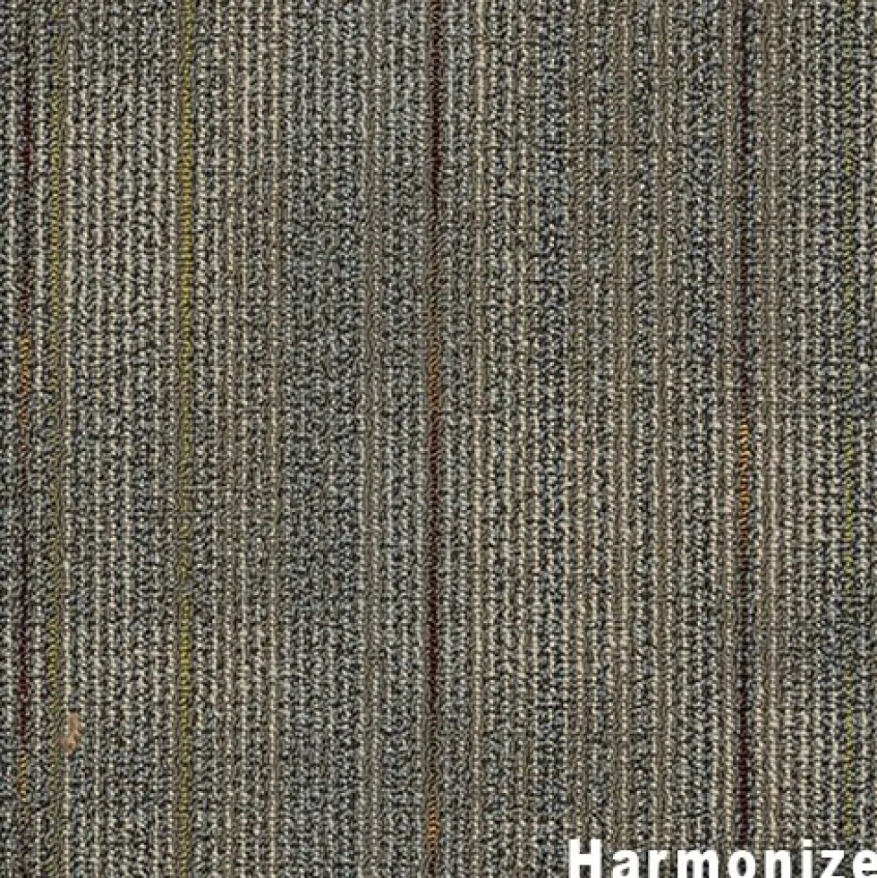 Out of Bounds Commercial Carpet Tile .25 Inch x 24x24 Inches 12 per Carton