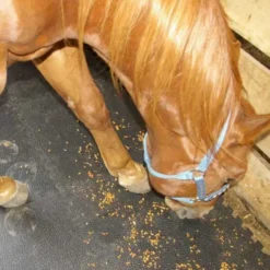 Portable Foam Horse Stall Mats 3/4 Inch x 2x2 Ft.