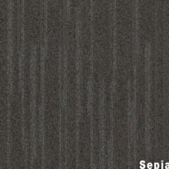 Quicken Commercial Carpet Tile .42 Inch x 50x50 cm per Tile