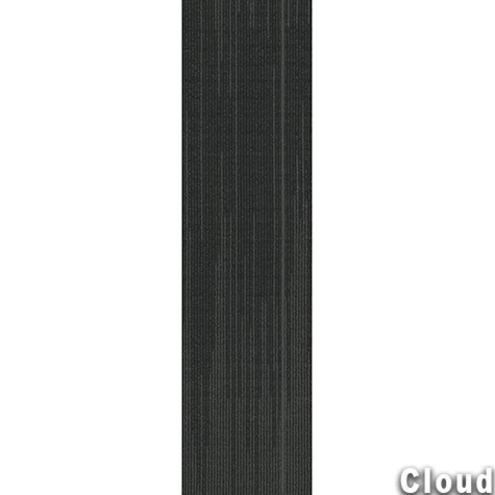 Reverb Commercial Carpet Planks 1/4 Inch x 12x48 Inches Carton of 14