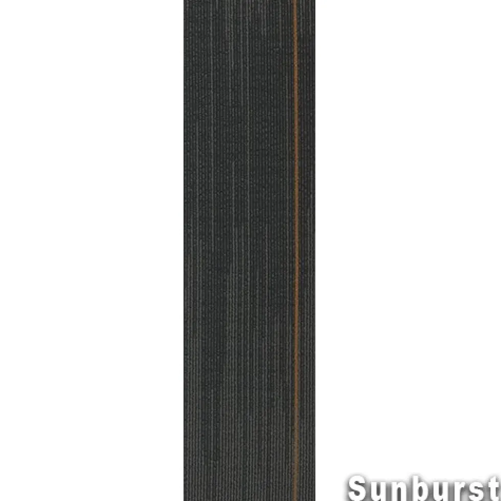Reverb Commercial Carpet Planks 1/4 Inch x 12x48 Inches Carton of 14