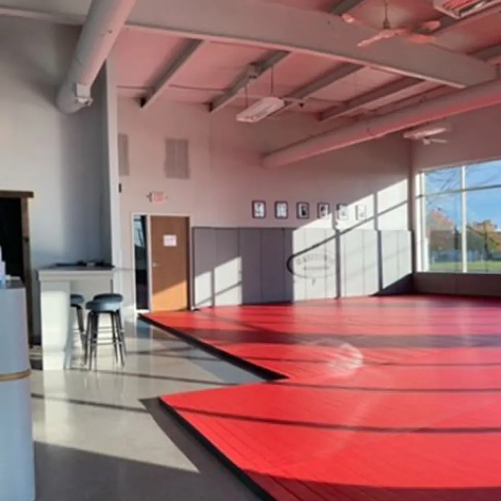 Roll Out Mats Smooth 2 Inch x 6 Ft. Wide per SF