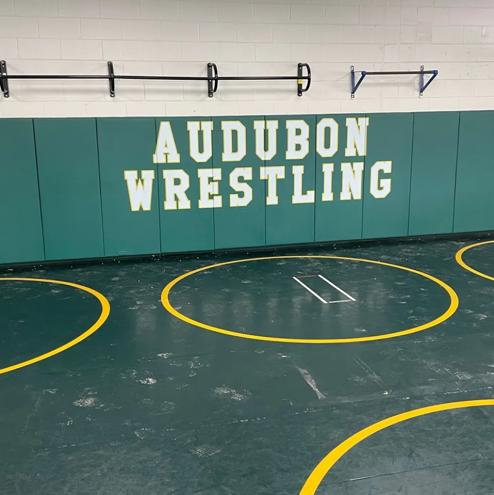 Safety Wall Pad 1x6 Ft x 2 Inch WB Z Clip ASTM
