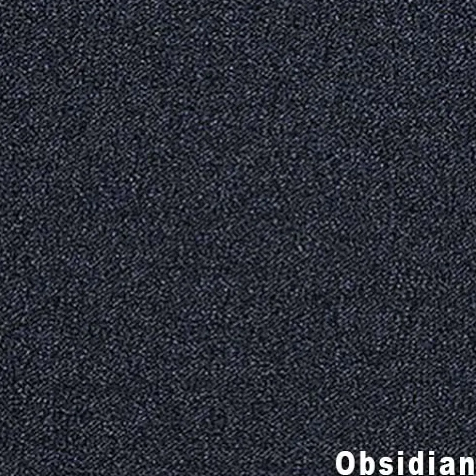 Scholarship II Commercial Carpet Tiles 2.9 mm x 24x24 Inches Carton of 24