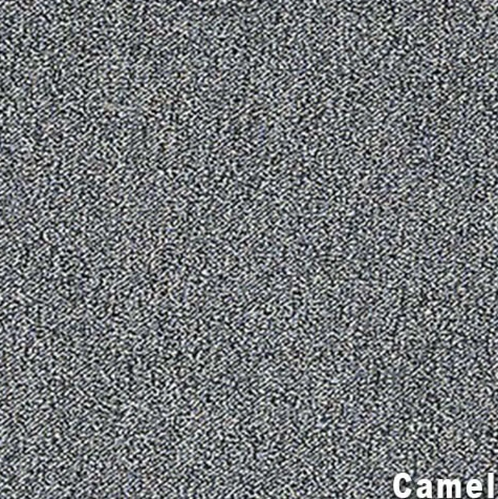 Scholarship II Commercial Carpet Tiles 2.9 mm x 24x24 Inches Carton of 24