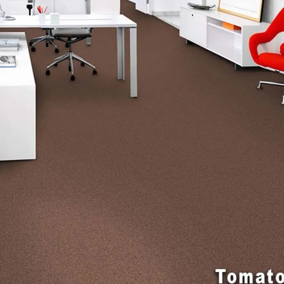 Scholarship II Commercial Carpet Tiles 2.9 mm x 24x24 Inches Carton of 24