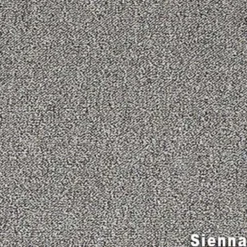 Scholarship II Commercial Carpet Tiles 2.9 mm x 24x24 Inches Carton of 24