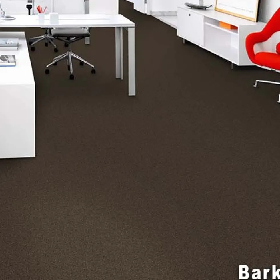 Scholarship II Commercial Carpet Tiles 2.9 mm x 24x24 Inches Carton of 24