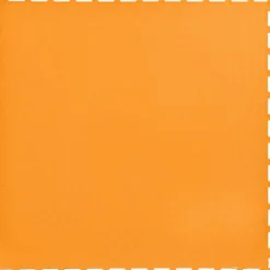 Smooth Top PVC Interlocking Color Ever 1/4 Inch x 19.625x19.625 Inch Tile