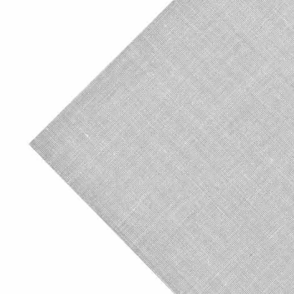 Theatrical No Glare Floor Full Bolt 2 mm x 6x60 Ft.