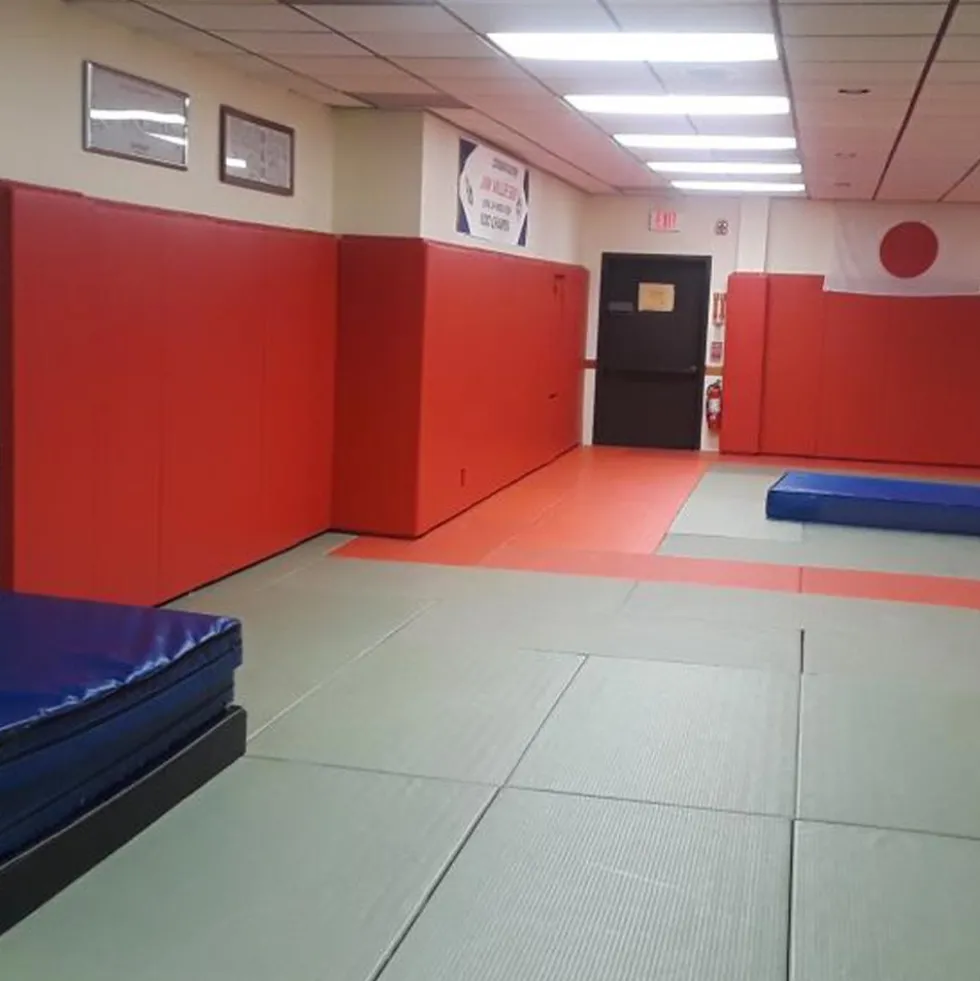 Wall Pad 2x7 ft 2 Inch ASTM Foam WB Lip TB