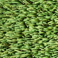 ZeroLawn Standard Artificial Grass Turf 1-1/2 Inch x 15 Ft. Wide per SF